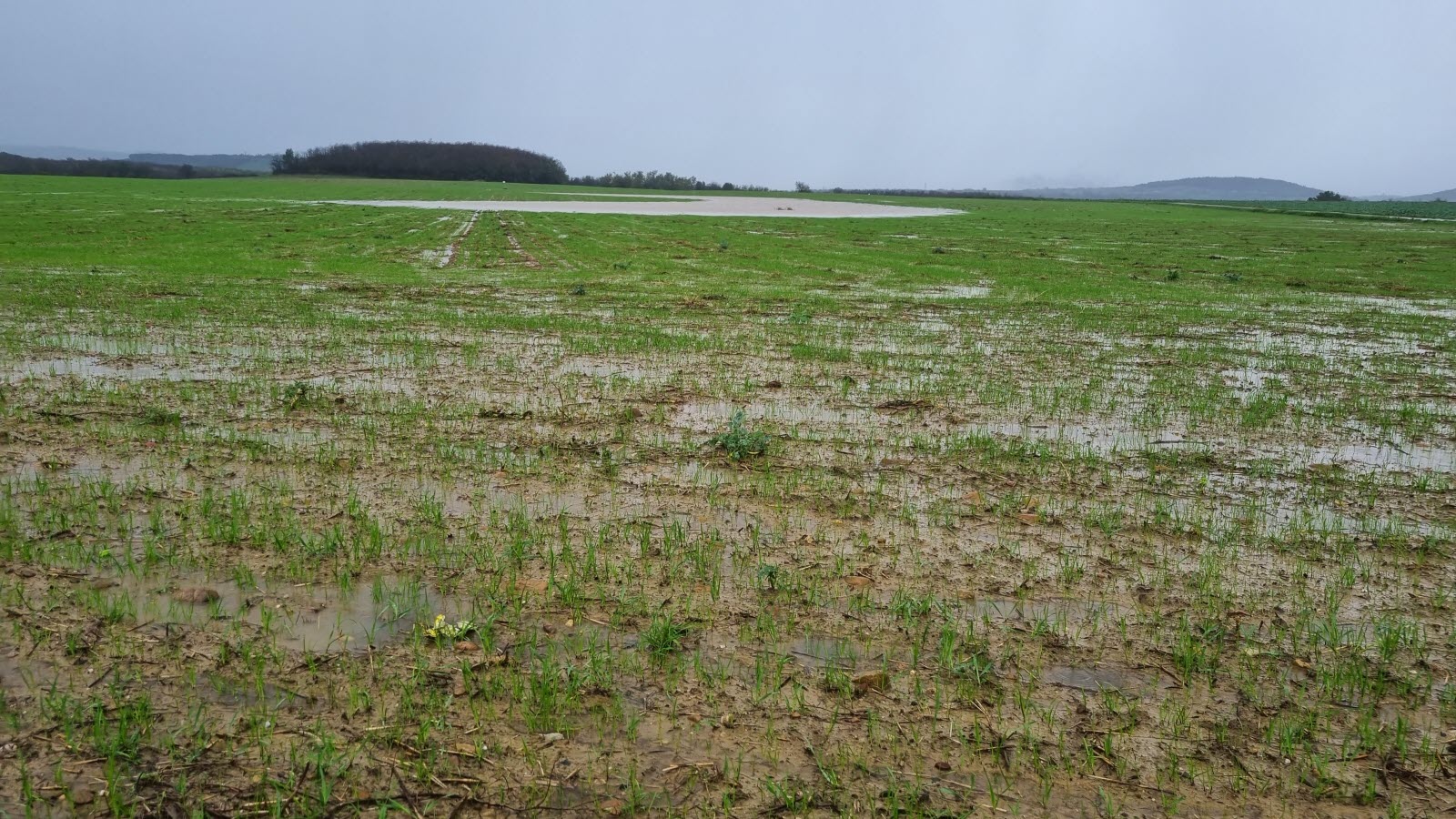 L’année 2024 : une catastrophe sans précédent pour l’agriculture française