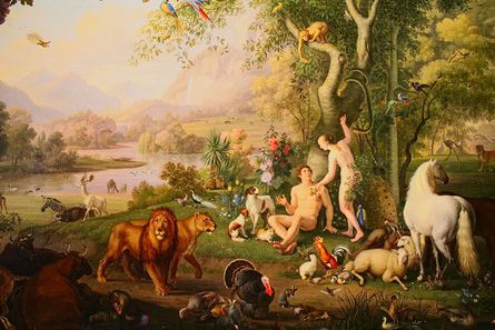 L’affection entre l’homme et les animaux : une alliance sacrée